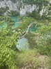 resIMG_20220608_144825_IMG_8601_HEIC.jpg
